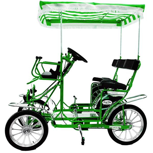 2 Person Surrey Limousine