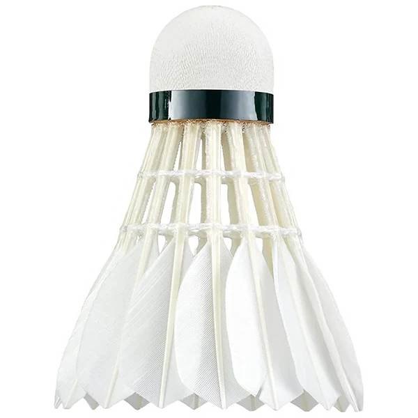 Aerosensa 30 Feather Dozen