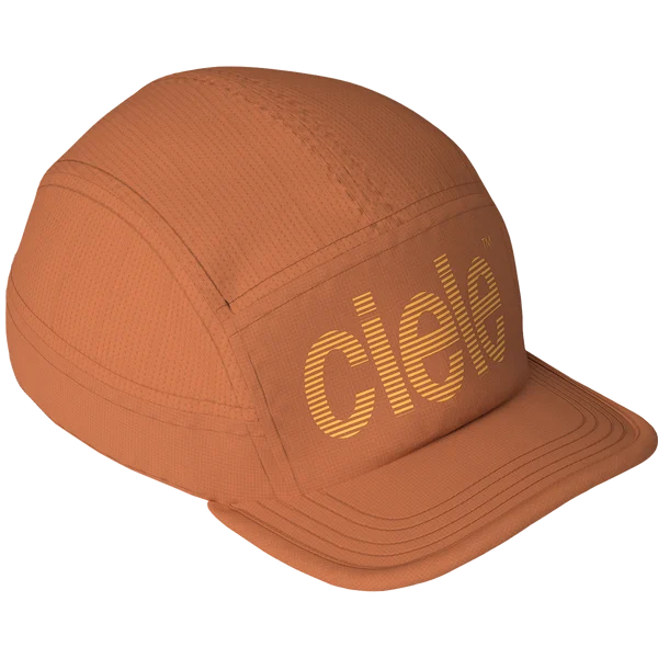ALZCap SC - Standard Stripes