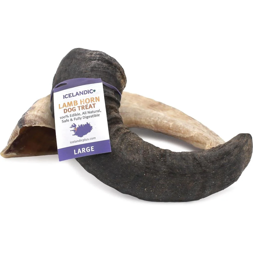 Icelandic+ Large Lamb Horn Dog Treat