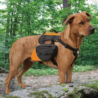 Kurgo Big Baxter, Black/Orange 50-110 lbs