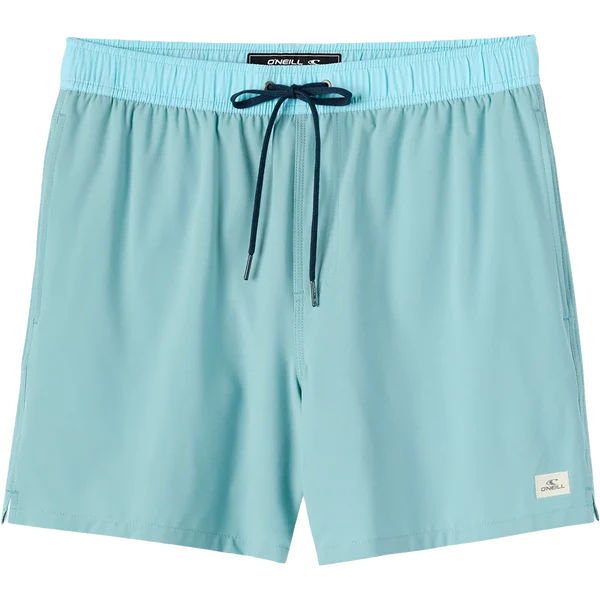 Men's Hermosa Lined Volley 15"