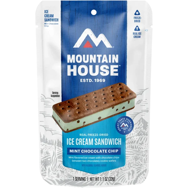 Mint Chocolate Chip Ice Cream Sandwich