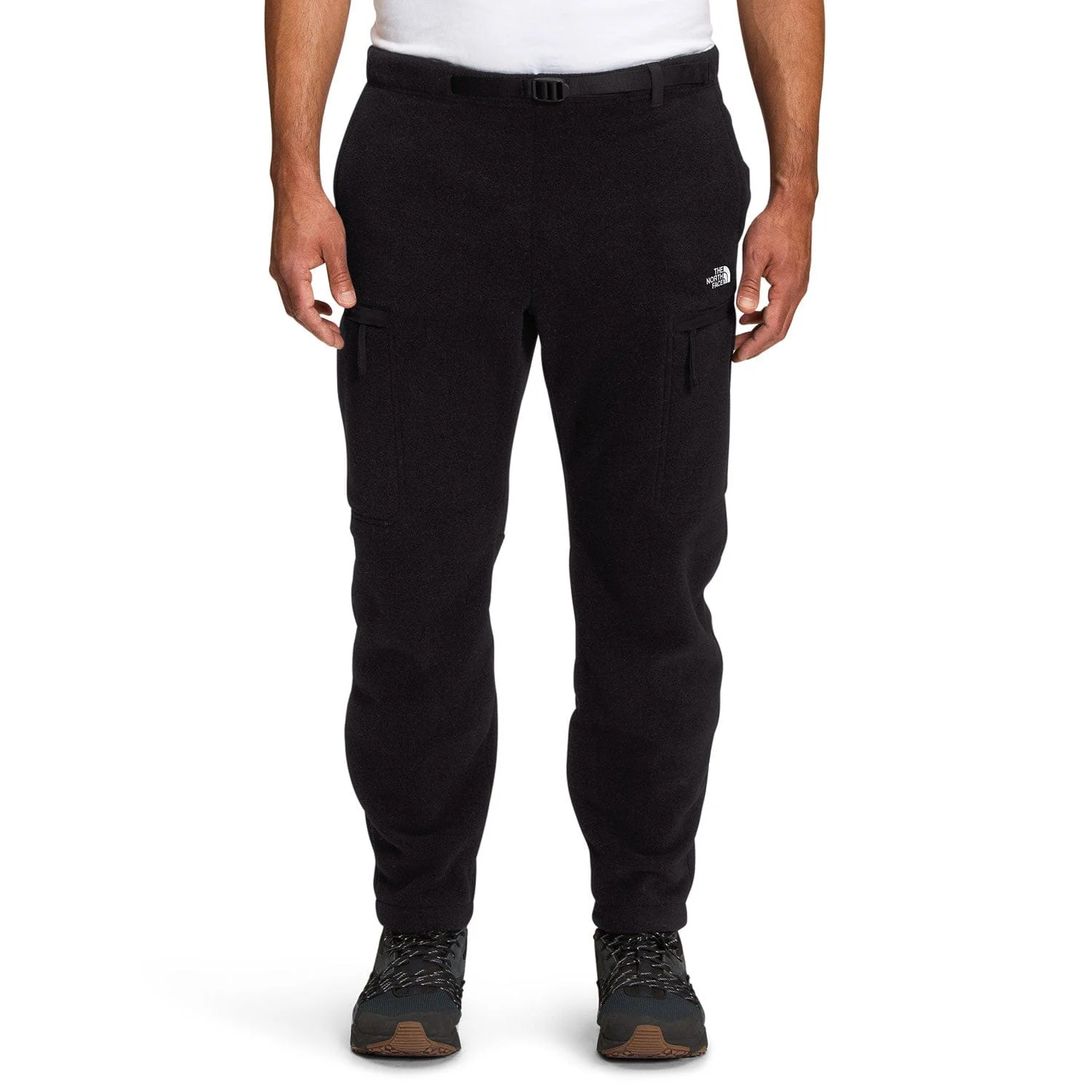 The North Face Men's Alpine Polartec 200 Pant - Regular