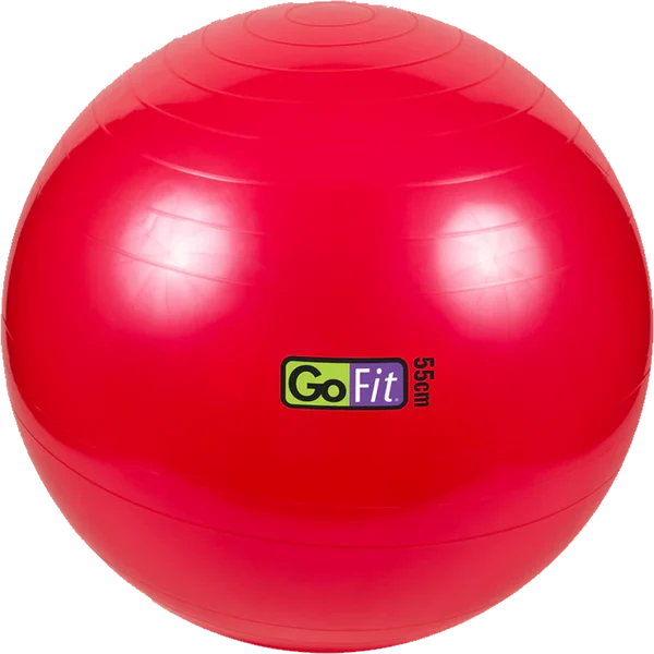 Stability Ball - 55 cm