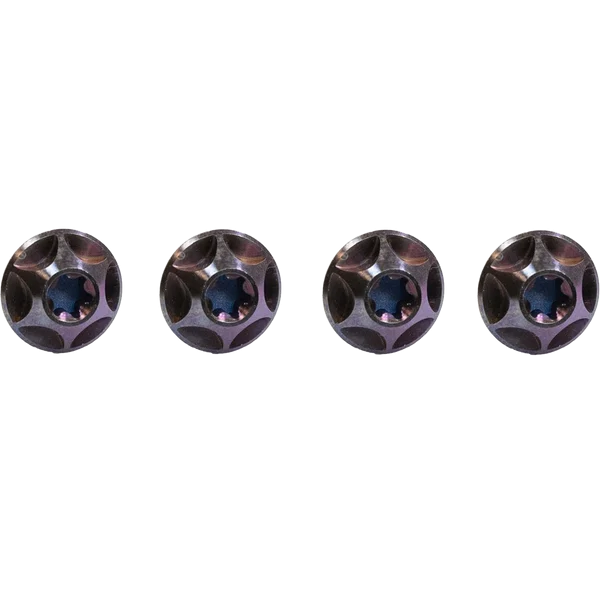 Titanium Cage Bolts Royal Purple