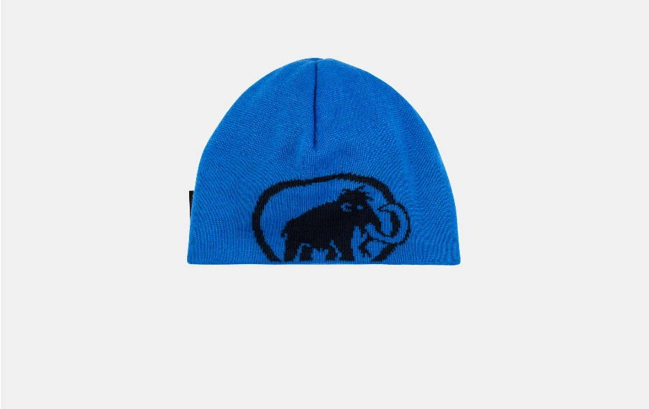 Tweak Beanie