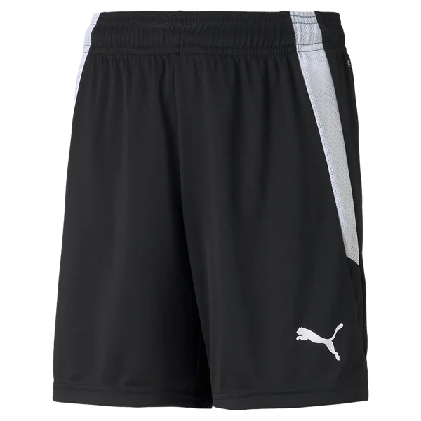Youth Team Liga Shorts